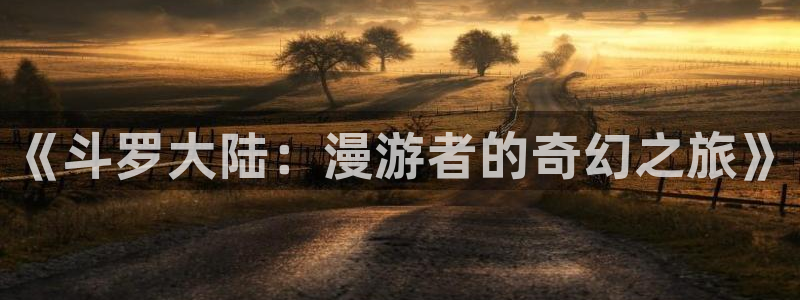 听星漫画完整版包子漫画免费观看：《斗罗大陆：漫游者的奇幻之旅》