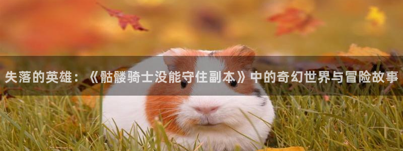 高等灵魂包子漫画：失落的英雄：《骷髅骑士没能守住副本》中的奇幻世界与冒险故事